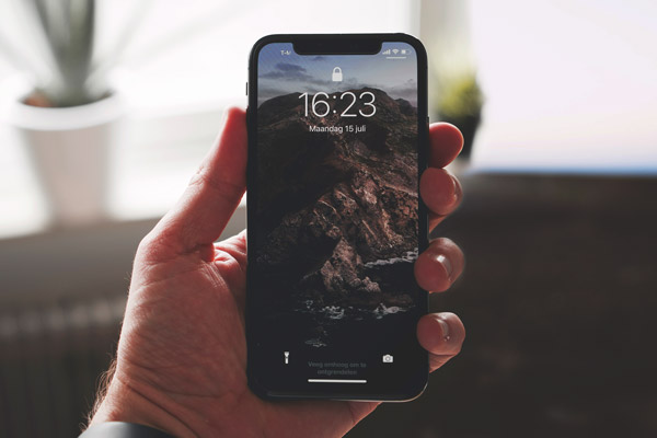 Frontansicht des iPhone X