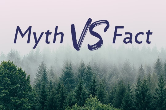 Nachhaltigkeitsmythen unter der Lupe