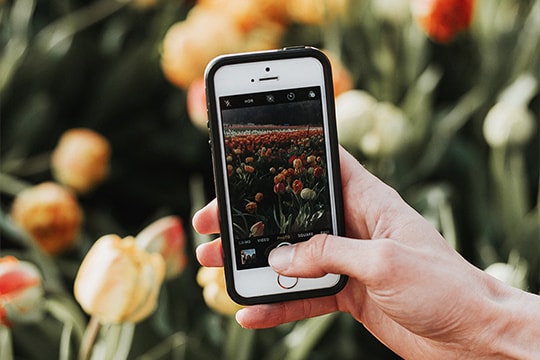 Nachhaltige Smartphones in Natur