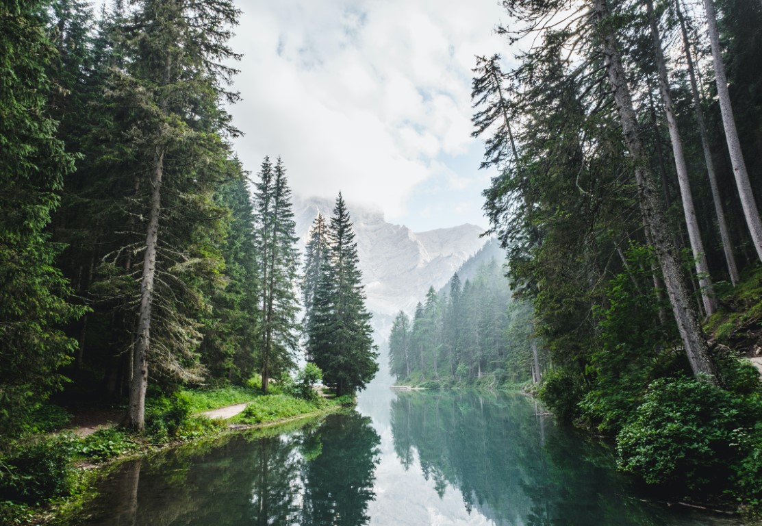 See und Wald, © Foto von Luca Bravo auf Unsplash