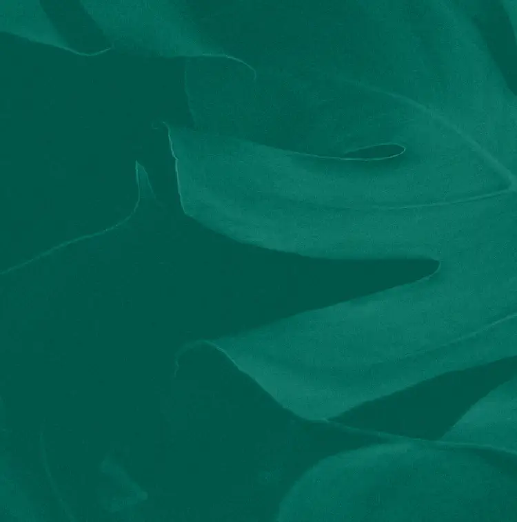 banner background image