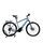 BMW Active Hybrid (2021) | Diamant | grau | 28" | 50 cm | S | < 100 km, thumbnail 1 of 5