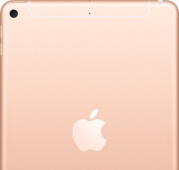 iPad mini 5 (2019) | 7.9" | 256 GB | 4G | gold, image 2 of 2